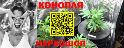 сатива Кулебаки