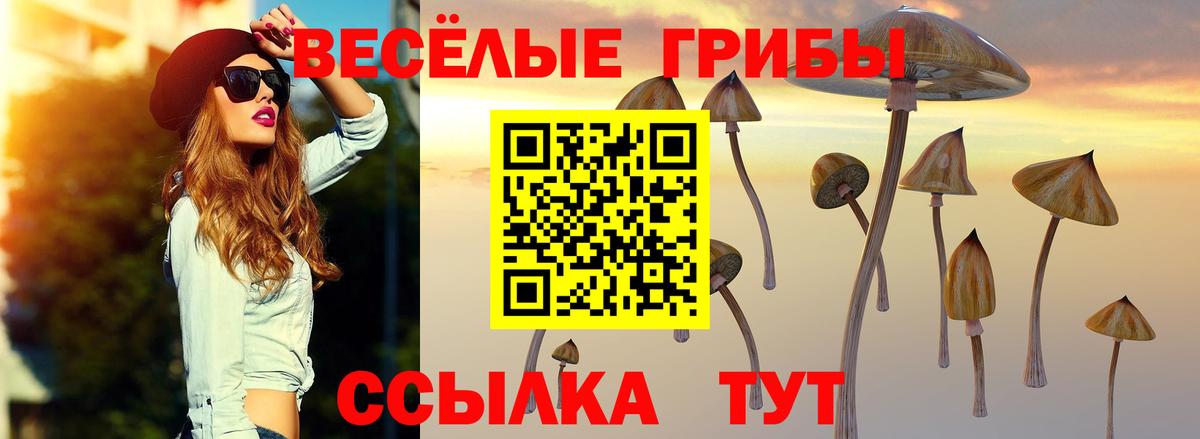 Псилоцибиновые грибы MAGIC MUSHROOMS  Вход с VPN  Карабулак 