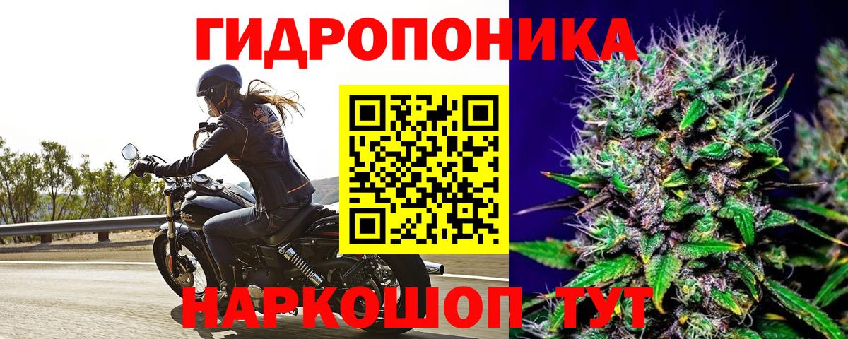 Карабулак  Бошки марихуана ГИДРОПОН  МАРИХУАНА индика  Канабис Bruce Banner  Вход с VPN  Бошки марихуана сатива 